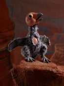 Canyon Condor