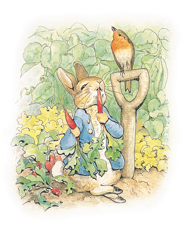Members Party: Peter Rabbit's Bunny Hop